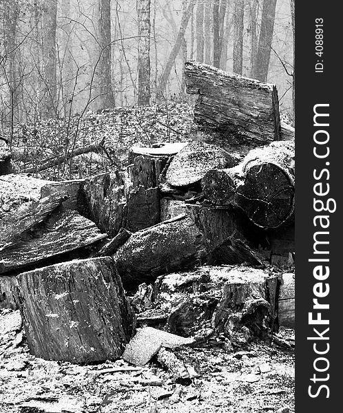 December snow on woodpile in middle Tennessee