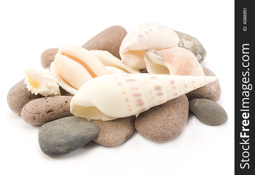 Shell on marine pebble, twisted sharpened varicoloured
