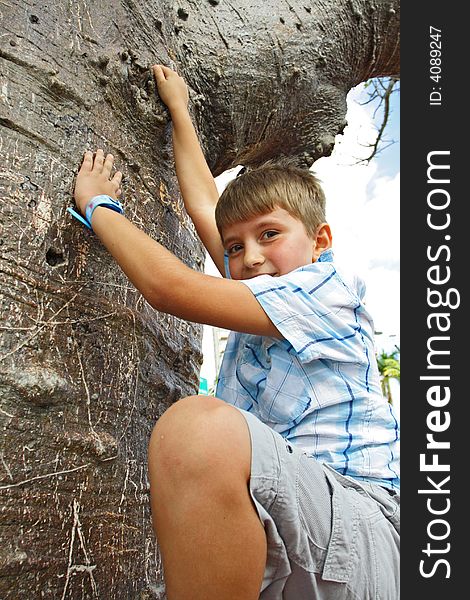 Boy getting ready to climb a tree. Boy getting ready to climb a tree