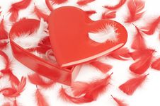 Heart Shaped Gift Box And Feathers Stock Image Heart Shaped Gift Box And Feathers Stock Image