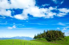 Beautiful Meadow And Small Woods Royalty Free Stock Images Beautiful Meadow And Small Woods Royalty Free Stock Images