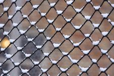 Snow On Netting Stock Photos Snow On Netting Stock Photos