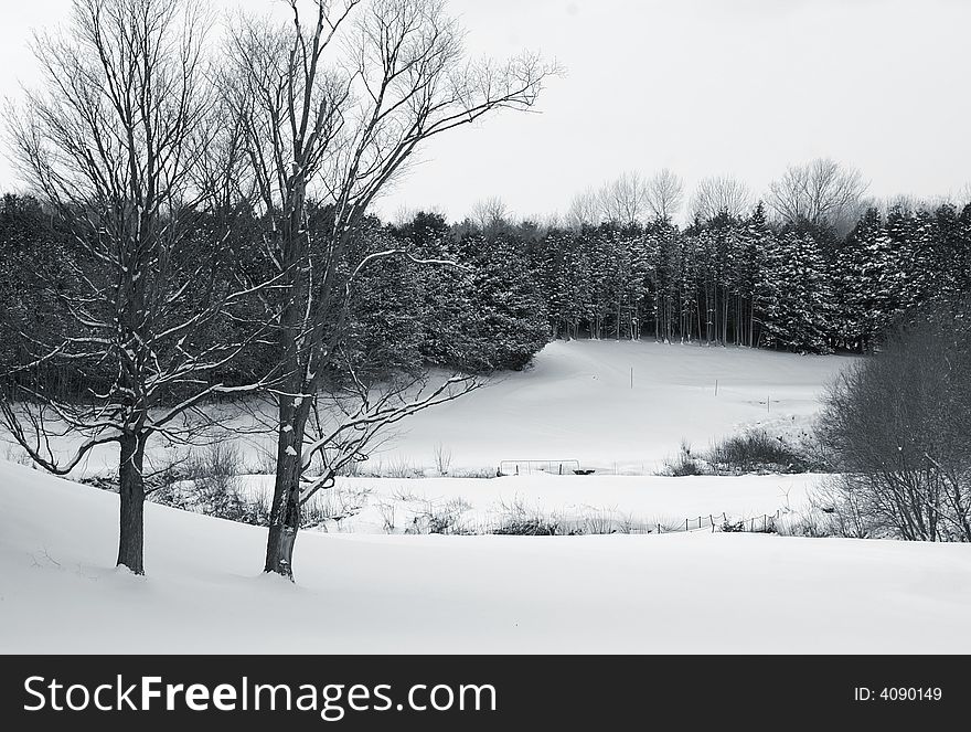 Ontario golf course scene with meandering creek in winter after a snow squall. Ontario golf course scene with meandering creek in winter after a snow squall