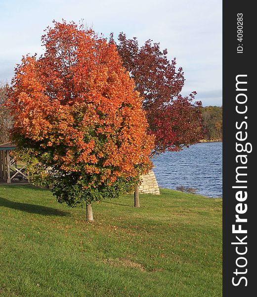 Autumn leaves on trees in a park with a lake. Autumn leaves on trees in a park with a lake