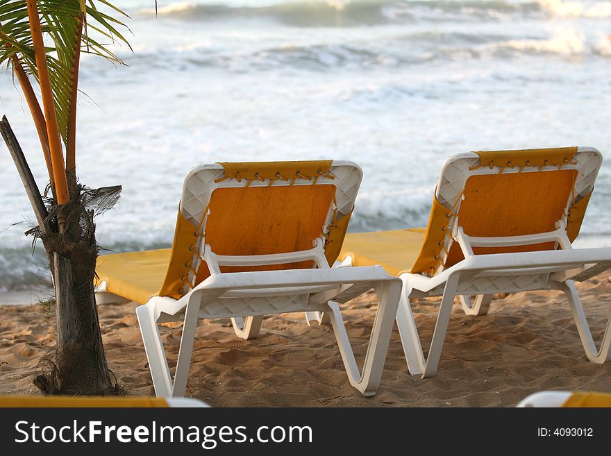 Chaises on the beach and palm tree. Chaises on the beach and palm tree