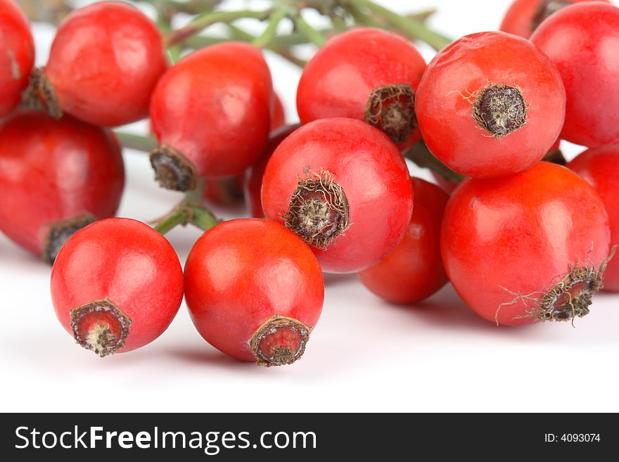 Bunch of rose hips