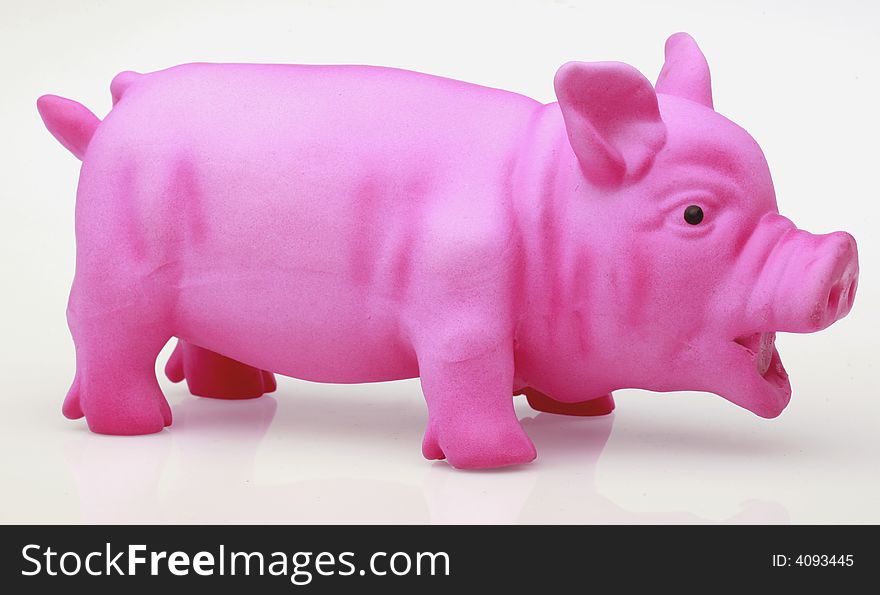 Pink pig on white background
