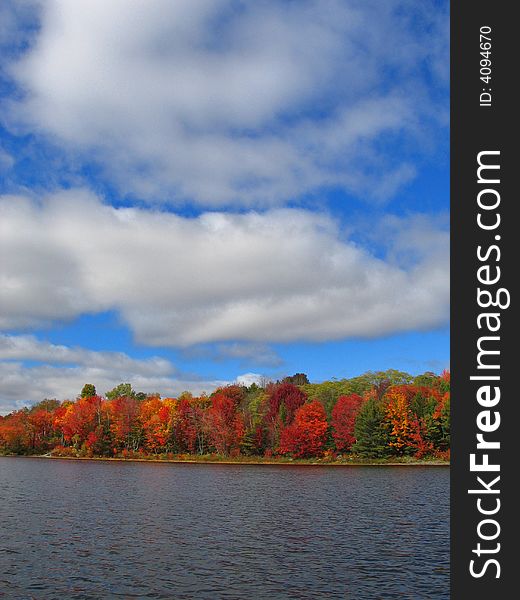 Lakeside fall forest in Ontario, Canada. Lakeside fall forest in Ontario, Canada.