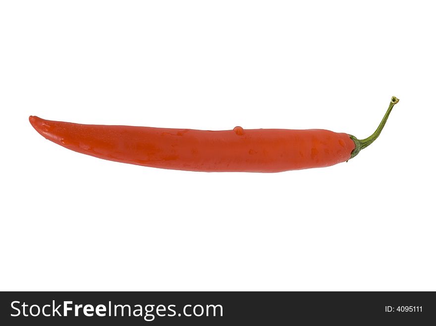 A chilli on a white background. A chilli on a white background.