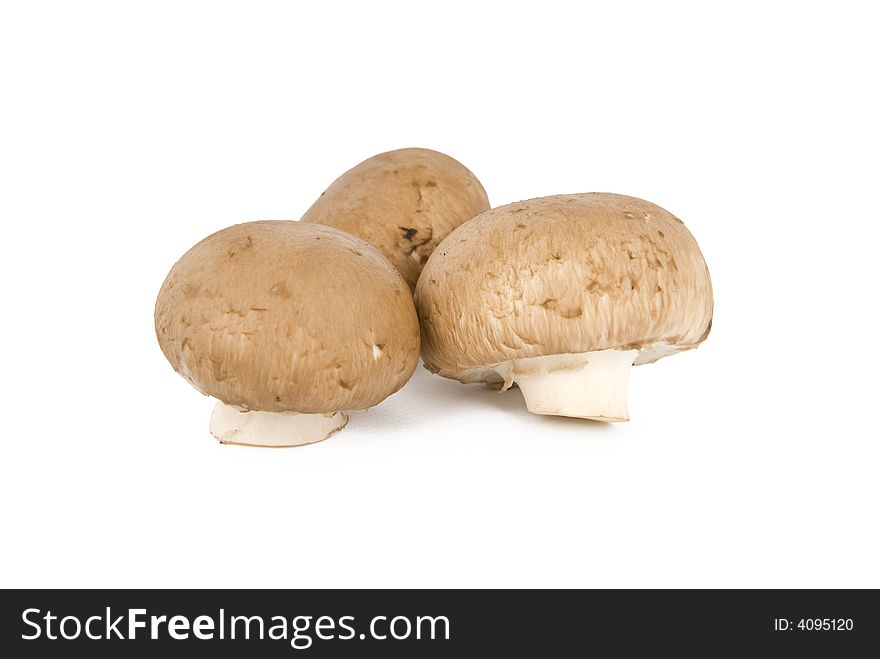 Mushrooms on a white background. Mushrooms on a white background.
