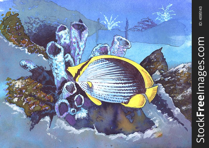 Butterflyfish