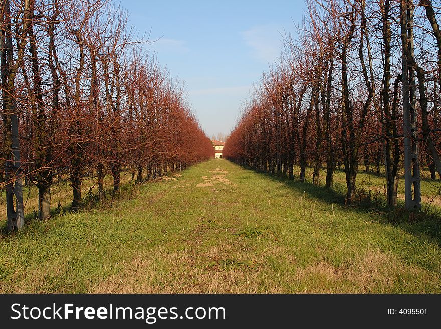 Campagna invernale