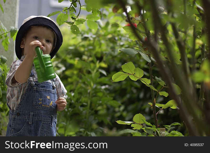 Child helps in the garden watering flowers. Child helps in the garden watering flowers.