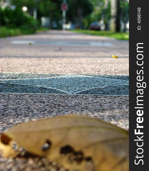 The picture focuses on the path beyond a browned and fallen leaf, evoking ideas of a road or journey ahead, and possibly moving beyond a tragedy or hurt. The picture focuses on the path beyond a browned and fallen leaf, evoking ideas of a road or journey ahead, and possibly moving beyond a tragedy or hurt