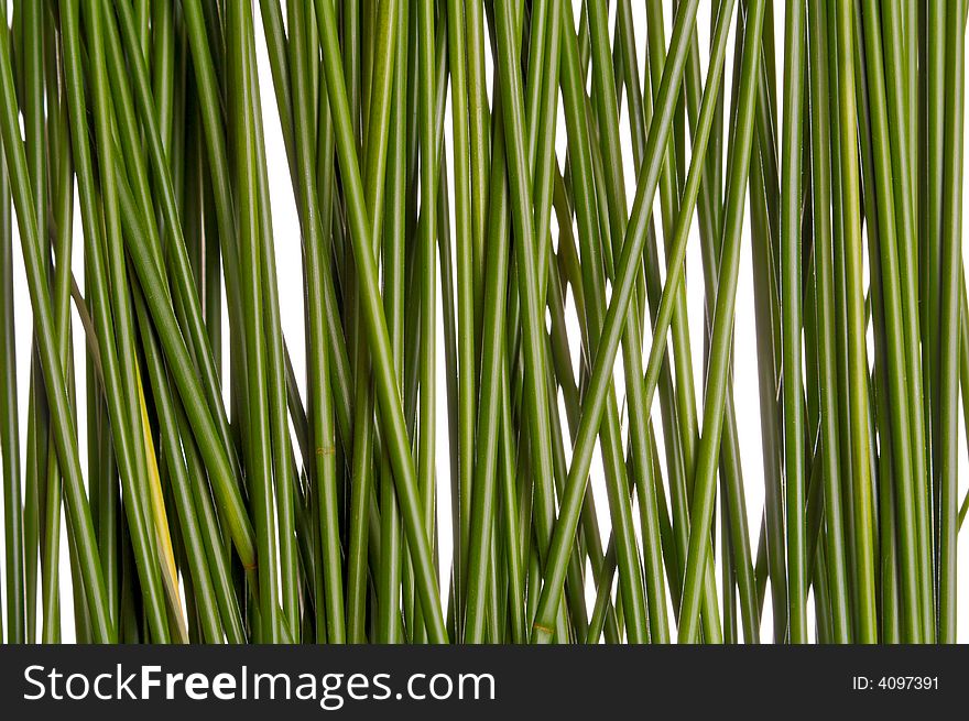 Green grass straws isolated on white. Green grass straws isolated on white