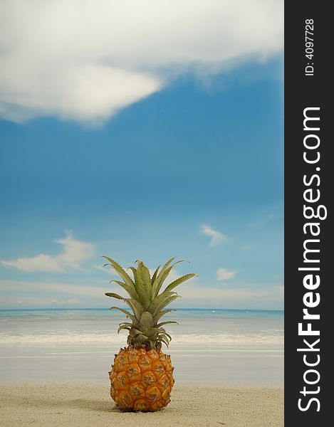 Pineapple on the beach near the water. Withe a  blue and cloudy sky. Pineapple on the beach near the water. Withe a  blue and cloudy sky.