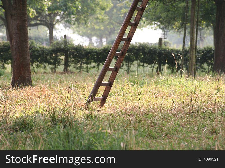 On our holiday in the Netherlands i've found this ladder in a field with trees. On our holiday in the Netherlands i've found this ladder in a field with trees.