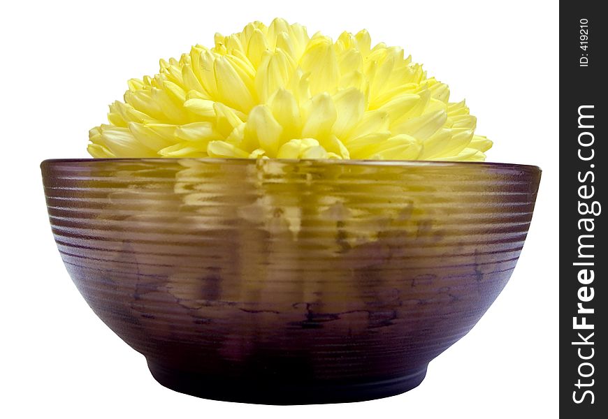 Yellow in the dark-glass bowl (front view). Yellow in the dark-glass bowl (front view)