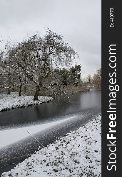 Lonely tree on the water