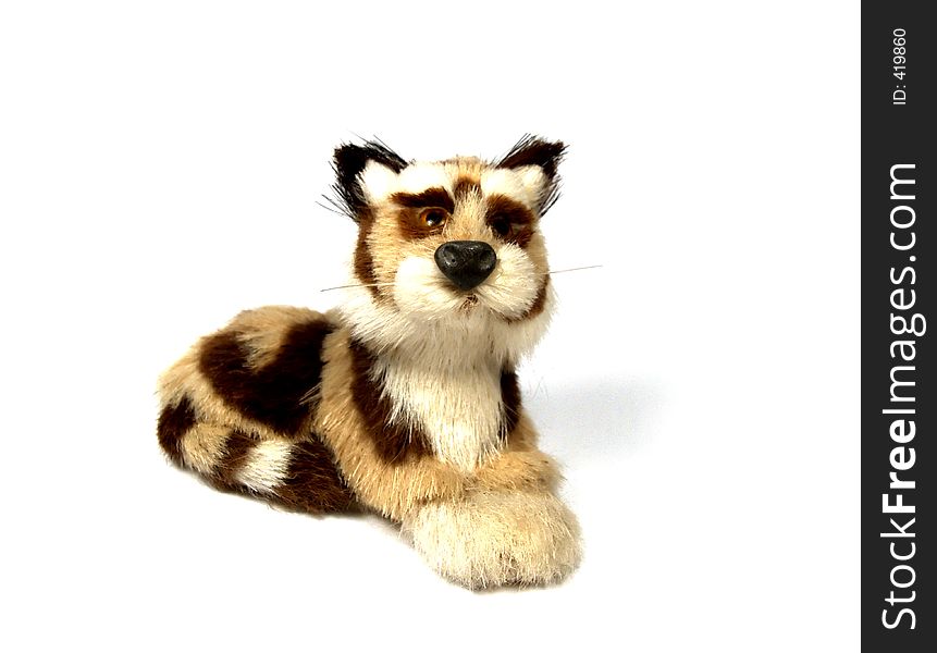 Mini tiger on white background. Mini tiger on white background