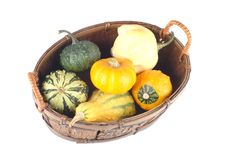 Mini Pumpkins In A Basket Stock Image Mini Pumpkins In A Basket Stock Image