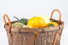 Mini Pumpkins In A Basket Royalty Free Stock Photos Mini Pumpkins In A Basket Royalty Free Stock Photos