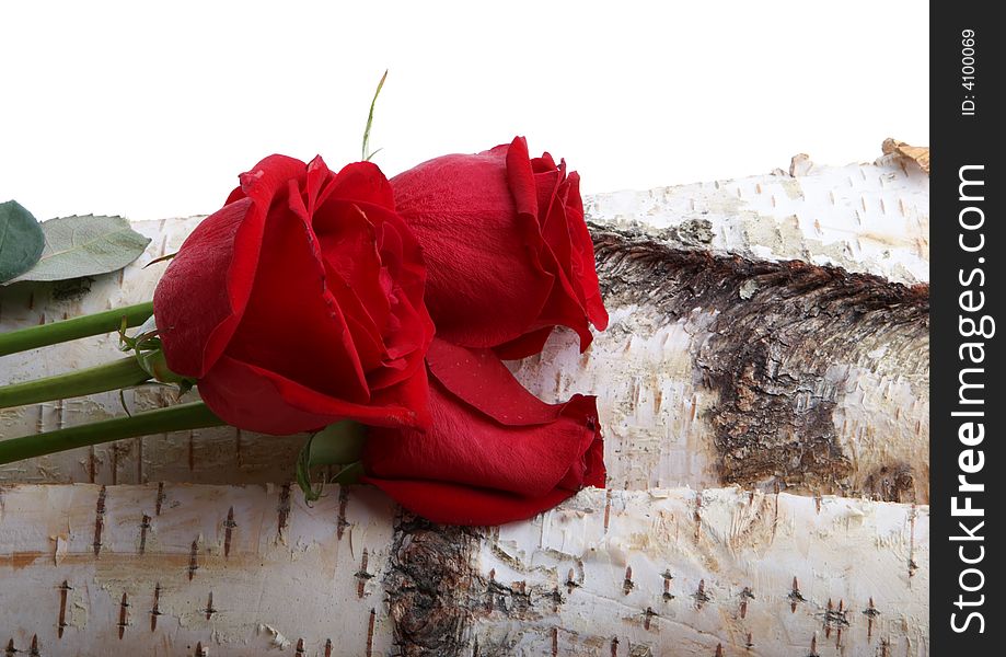 Beautiful red roses lying on wood
