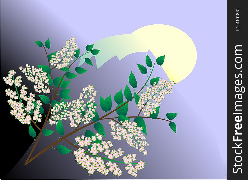 Blossoming branch of tree on mountain moonlight background