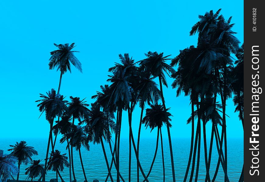 Tops of palm trees on a background of a sunset sky. Tops of palm trees on a background of a sunset sky