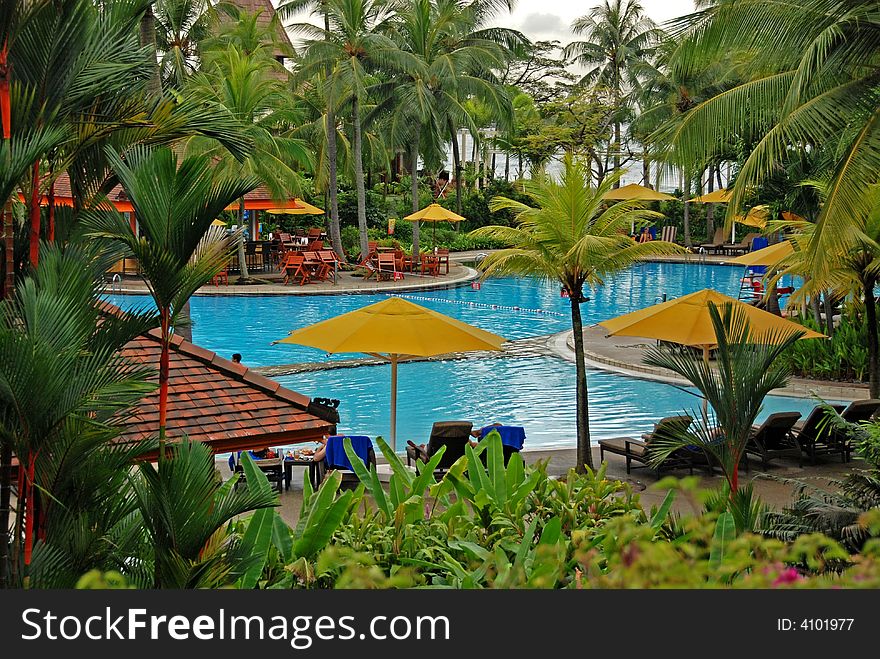 Coconut tree and swimming pool at the seasides
