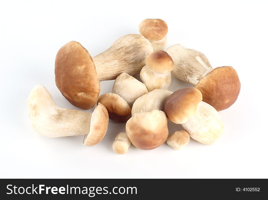 Fresh mushrooms on a white