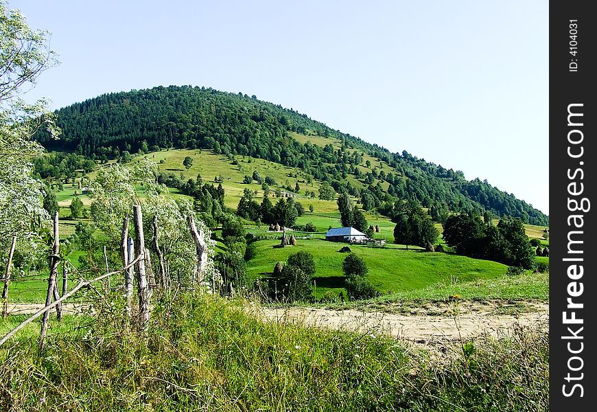 A beautiful hill with trees and a little house