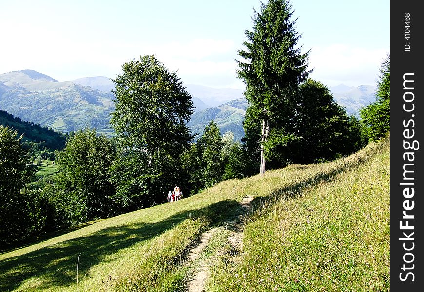 High path in the mountains on summer time