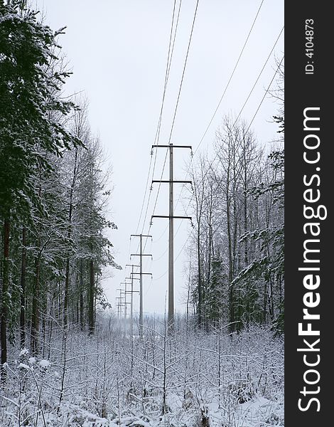 High voltage line in a winter wood