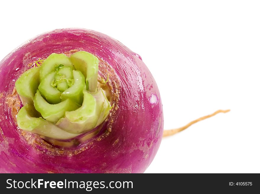 Closeup of a lovely purple turnip root. Closeup of a lovely purple turnip root