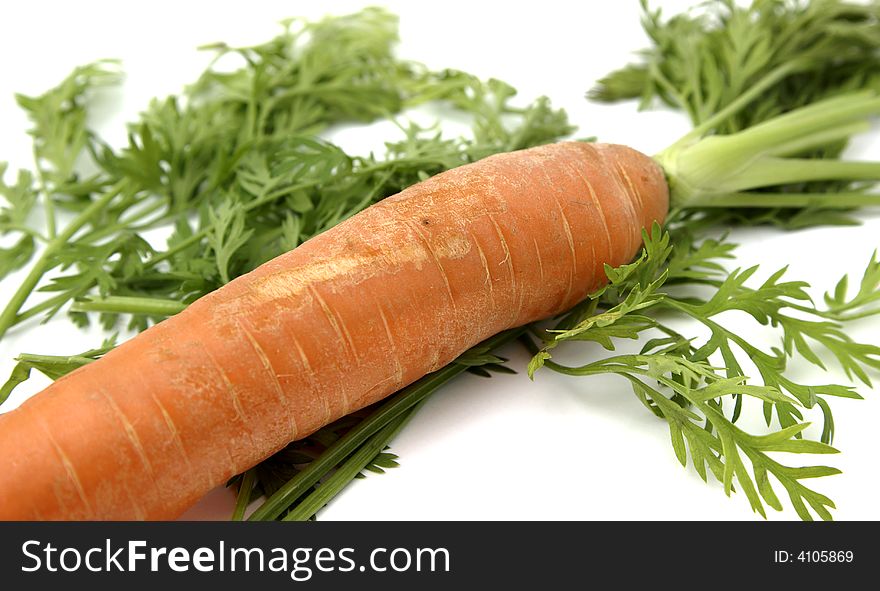 Forefront of carrot with leaves