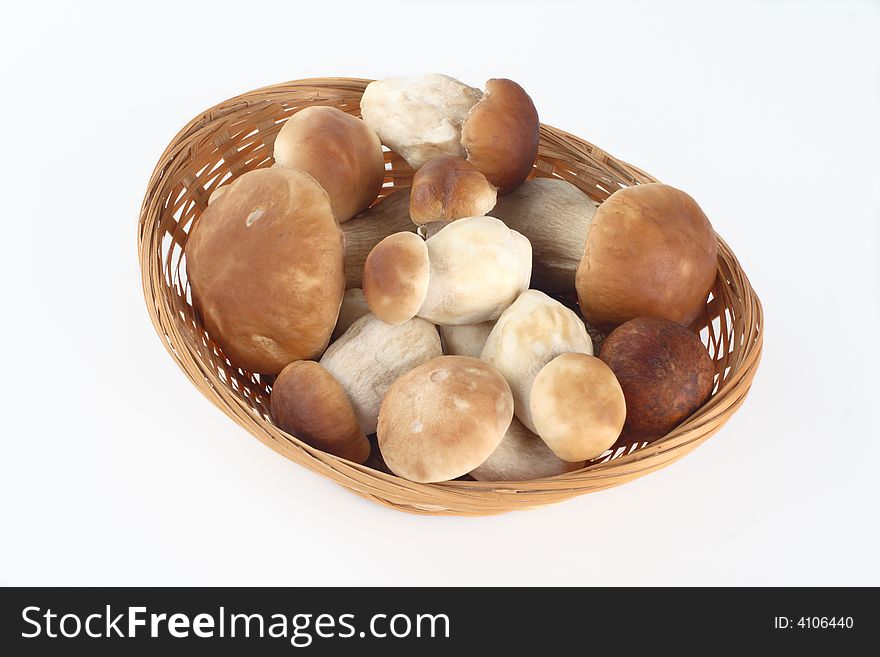 Fresh mushrooms on a white