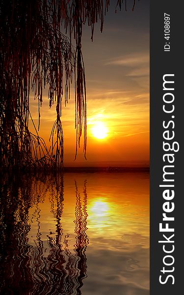 Tree reflecting in water at sunset. Tree reflecting in water at sunset