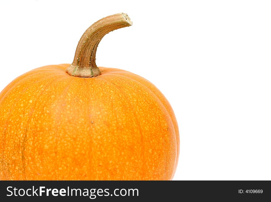 Pumpking in a isolated white background. Pumpking in a isolated white background