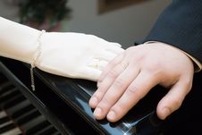 Hands Of A Newly-married Stock Photos Hands Of A Newly-married Stock Photos