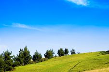 Beautiful Meadow And Trees Stock Image Beautiful Meadow And Trees Stock Image