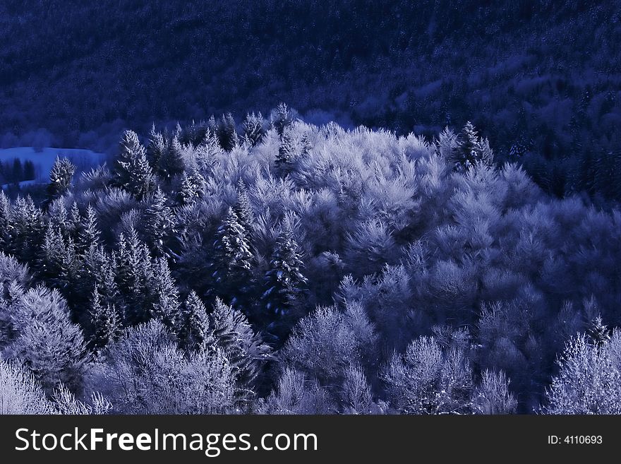 Landscape of mountain showing trees vith snow. Landscape of mountain showing trees vith snow