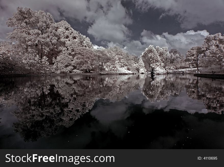 Lake, Tree And Cloud In The Park