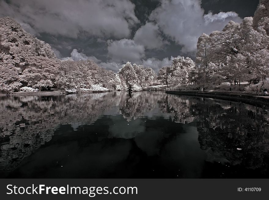 Lake, tree and cloud in the park