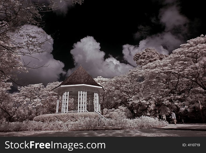 Shelter, tree and cloud in the park