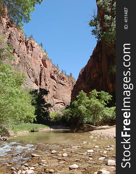 Canyon in Zion National Park