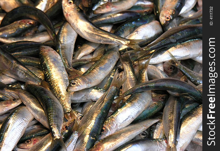 Sardines in a fish market in Venice