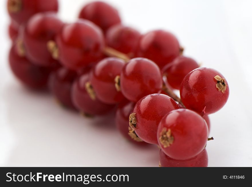 Red berries close up 2