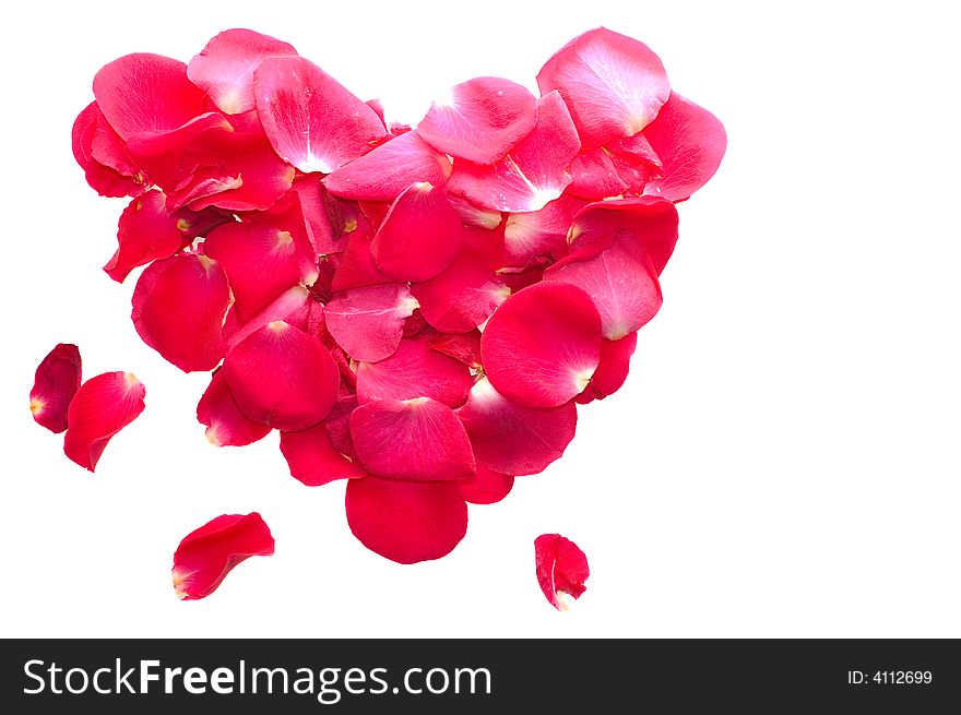 Heart made of rose isolated on white