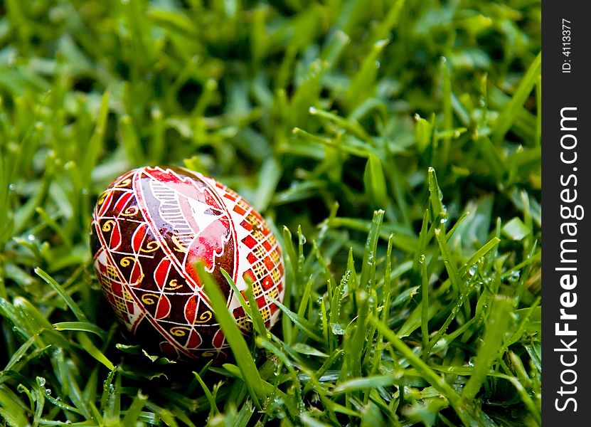 Hand painted Easter egg glistening on a bed of fresh, dew covered grass. Hand painted Easter egg glistening on a bed of fresh, dew covered grass